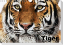 Tiger (Wandkalender immerwährend DIN A4 quer)