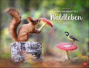 Vadim Trunov: Märchenhaftes Waldleben Posterkalender 2025 - Naturkalender 2025 gestaltet mit Bildern des Naturfotografen Vadim Trunov. Fotokalender 2025 im Querformat. 44 x 34 cm.. Heye, 2024.