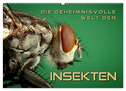 Die geheimnisvolle Welt der Insekten (Wandkalender 2024 DIN A2 quer), CALVENDO Monatskalender