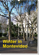 Winter in Montevideo (Wandkalender 2022 DIN A3 hoch)