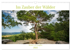A. R. Langlotz, Markus. Im Zauber der Wälder (Wandkalender 2024 DIN A3 quer), CALVENDO Monatskalender - Zauberhafte Wälder Mitteleuropas. Calvendo, 2023.