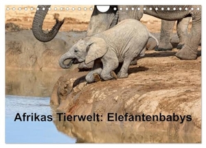 Voß, Michael. Afrikas Tierwelt: Elefantenbabys (Wandkalender 2024 DIN A4 quer), CALVENDO Monatskalender - Besondere Momente der kleinen grauen "Riesen". Calvendo Verlag, 2023.