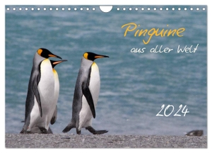 Schlögl, Brigitte. Pinguine aus aller Welt (Wandkalender 2024 DIN A4 quer), CALVENDO Monatskalender - Wandkalender mit 13 Bildern. Calvendo Verlag, 2023.