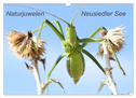 Naturjuwelen - Neusiedler See (Wandkalender 2025 DIN A3 quer), CALVENDO Monatskalender