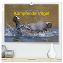 Kämpfende Vögel (hochwertiger Premium Wandkalender 2025 DIN A2 quer), Kunstdruck in Hochglanz