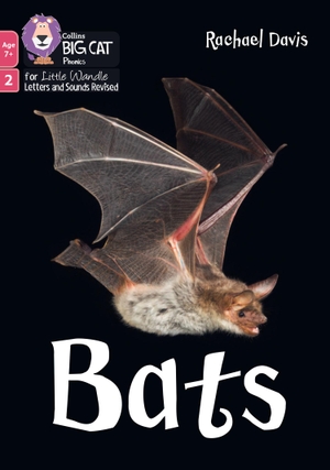Davis, Rachael. Bats. HarperCollins UK, 2025.