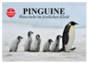Pinguine - Watscheln im festlichen Kleid (Tischkalender 2024 DIN A5 quer), CALVENDO Monatskalender