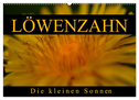 Löwenzahn - Die kleinen Sonnen (Wandkalender 2024 DIN A2 quer), CALVENDO Monatskalender