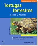 Tortugas terrestres : mascotas en casa