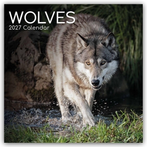 Gifted Stationery Co. Ltd. Wolves - Wölfe 2027 - 16-Monatskalender - Original Gifted Stationery-Kalender [Mehrsprachig] [Kalender]. Browntrout Verlags GmbH, 2026.