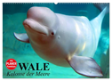 Wale. Kolosse der Meere (Wandkalender 2024 DIN A2 quer), CALVENDO Monatskalender