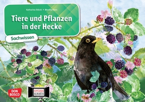 Stöckl-Bauer, Katharina. Tiere und Pflanzen in der Hecke. Kamishibai Bildkartenset - Bildergeschichte für den Sachunterricht in der Grundschule. Geeignet für die Klassen 1-4. Don Bosco Medien GmbH, 2021.