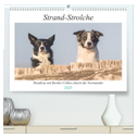 Strand-Strolche (hochwertiger Premium Wandkalender 2025 DIN A2 quer), Kunstdruck in Hochglanz