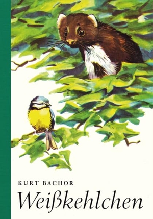Bachor, Kurt. Weißkehlchen. Knabe Verlag Weimar, 2026.