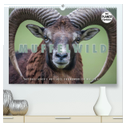 Emotionale Momente: Muffelwild. (hochwertiger Premium Wandkalender 2025 DIN A2 quer), Kunstdruck in Hochglanz