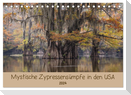 Mystische Zypressensümpfe (Tischkalender 2024 DIN A5 quer), CALVENDO Monatskalender