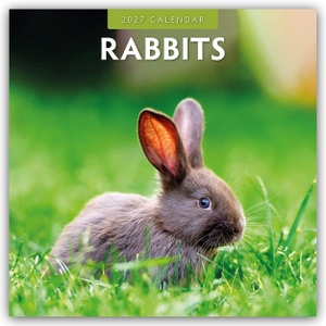Red, Robin. Rabbits - Hasen - Kaninchen 2027 - 16-Monatskalender - Original Red Robin Publishing Ltd-Kalender [Mehrsprachig] [Kalender]. Browntrout Verlags GmbH, 2026.