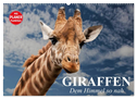 Giraffen. Dem Himmel so nah (Wandkalender 2024 DIN A2 quer), CALVENDO Monatskalender