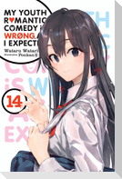 My Youth Romantic Comedy Is Wrong, as I Expected, Vol. 14 (Light Novel)