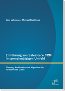 Einführung von Salesforce CRM im gemeinnützigen Umfeld: Planung, Architektur und Migration der vorhandenen Daten