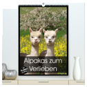 Alpakas zum Verlieben (hochwertiger Premium Wandkalender 2024 DIN A2 hoch), Kunstdruck in Hochglanz