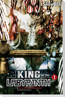 King of the Labyrinth, Vol. 1 (light novel)
