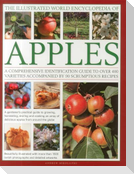 Illustrated World Encyclopedia of Apples