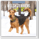 Welsh Terriers - Welsh Terrier 2027 - 16-Monatskalender
