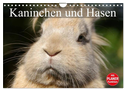 Kaninchen und Hasen (Wandkalender 2024 DIN A4 quer), CALVENDO Monatskalender