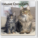 Maine Coon Cats - Maine Coon Katzen 2027 - 16-Monatskalender