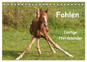 Fohlen - Lustige Pferdekinder (Tischkalender 2024 DIN A5 quer), CALVENDO Monatskalender