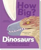 How Big? Dinosaurs