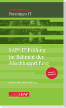 SAP®-IT-Prüfung im Rahmen der Abschlussprüfung