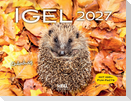 Igel 2027 Eintragkalender