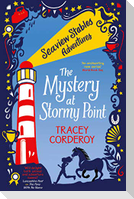 The Mystery at Stormy Point