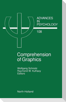 Comprehension of Graphics