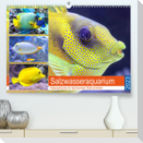 Salzwasseraquarium. Meeresfische im heimischen Wohnzimmer (Premium, hochwertiger DIN A2 Wandkalender 2023, Kunstdruck in Hochglanz)
