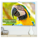 Papageien: Farbenpracht im Flug (hochwertiger Premium Wandkalender 2025 DIN A2 quer), Kunstdruck in Hochglanz