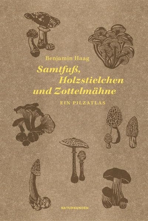 Haag, Benjamin. Samtfuß, Holzstielchen und Zottelmähne - Ein Pilzatlas. Matthes & Seitz Verlag, 2026.