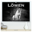 Löwen schwarz weiß (hochwertiger Premium Wandkalender 2025 DIN A2 quer), Kunstdruck in Hochglanz