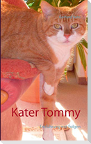 Kater Tommy