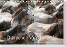 Dülmener Wildpferde - Gefährdete Nutztierrasse (Tischkalender immerwährend DIN A5 quer)