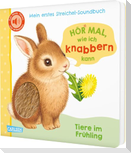 Hör mal, wie ich knabbern kann (Mein erstes Streichel-Soundbuch 5)
