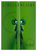 LibellenLiebe - Schau mir in die Augen, Kleines! (Wandkalender 2025 DIN A2 hoch), CALVENDO Monatskalender