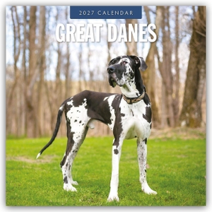 Red, Robin. Great Danes - Deutsche Dogge 2027 - 16-Monatskalender - Original Red Robin Publishing Ltd-Kalender [Mehrsprachig] [Kalender]. Browntrout Verlags GmbH, 2026.