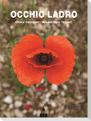 Occhio ladro