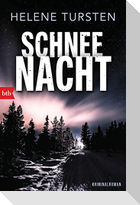 Schneenacht