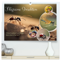 Filigrane Insekten (hochwertiger Premium Wandkalender 2025 DIN A2 quer), Kunstdruck in Hochglanz
