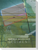 Mariele Neudecker - Sediment