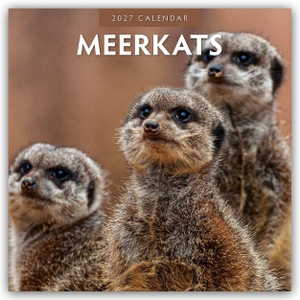 Red, Robin. Meerkats - Erdmännchen 2027 - 16-Monatskalender - Original Red Robin Publishing Ltd-Kalender [Mehrsprachig] [Kalender]. Browntrout Verlags GmbH, 2026.